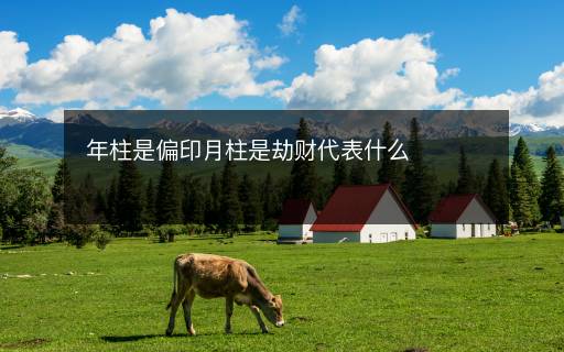 年柱是偏印月柱是劫財(cái)代表什么