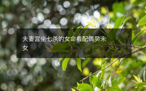 夫妻宮坐七殺的女命看配偶癸未女