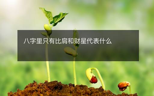 八字里只有比肩和財星代表什么