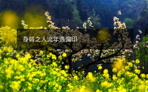 身弱之人流年遇偏印
