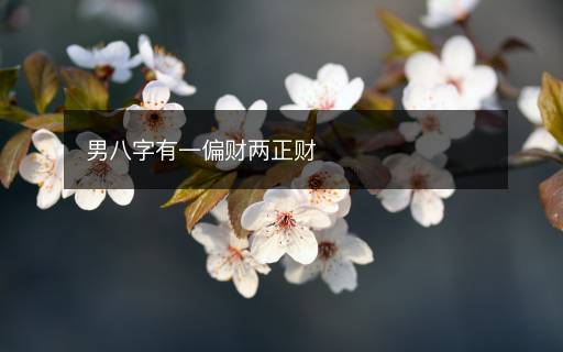 男八字有一偏財(cái)兩正財(cái)