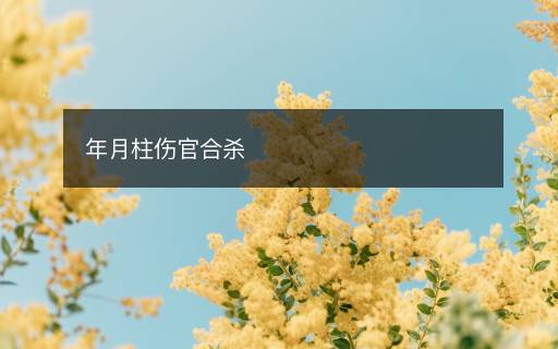 年月柱傷官合殺