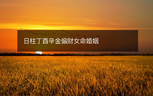 日柱丁酉辛金偏財女命婚姻
