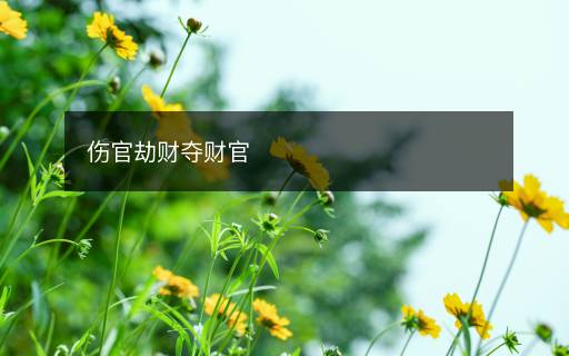 傷官劫財奪財官