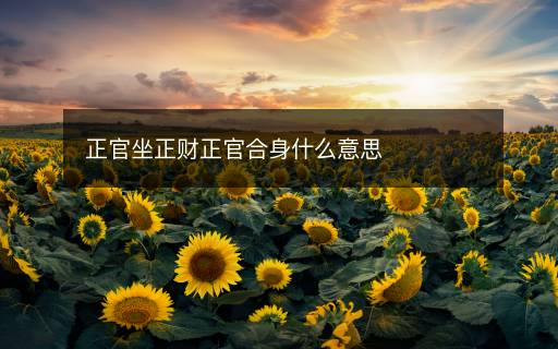正官坐正財(cái)正官合身什么意思