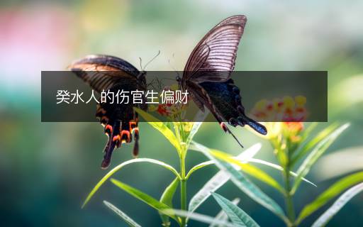癸水人的傷官生偏財