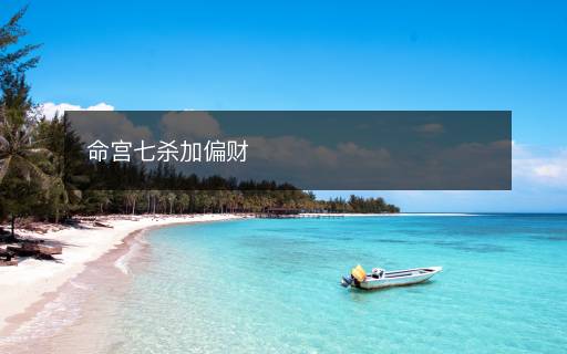 命宮七殺加偏財