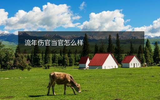 流年傷官當(dāng)官怎么樣