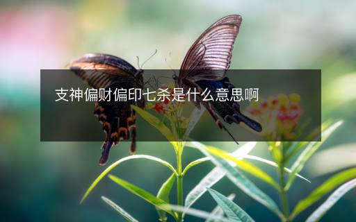支神偏財(cái)偏印七殺是什么意思啊