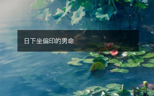日下坐偏印的男命