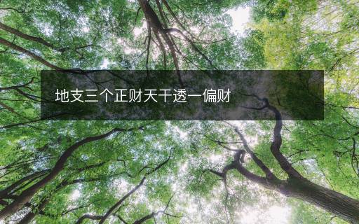 地支三個(gè)正財(cái)天干透一偏財(cái)