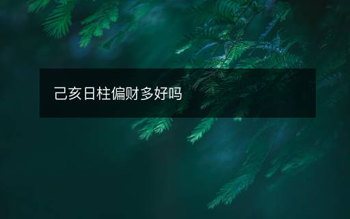 己亥日柱偏財(cái)多好嗎