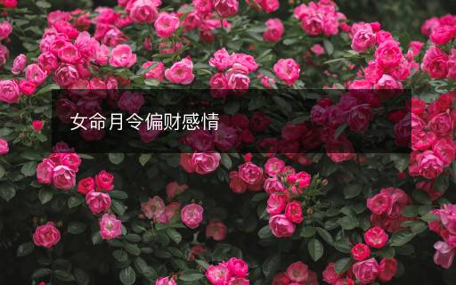 女命月令偏財感情