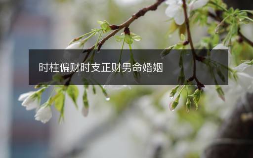 時(shí)柱偏財(cái)時(shí)支正財(cái)男命婚姻