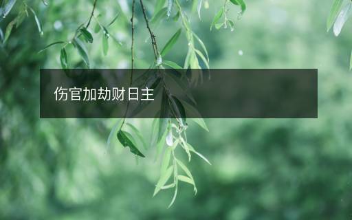 傷官加劫財日主