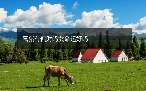 屬豬有偏財(cái)嗎女命運(yùn)好嗎