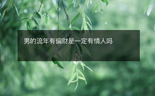 男的流年有偏財是一定有情人嗎