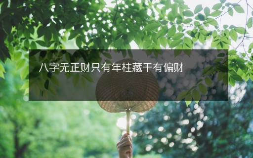 八字無正財(cái)只有年柱藏干有偏財(cái)