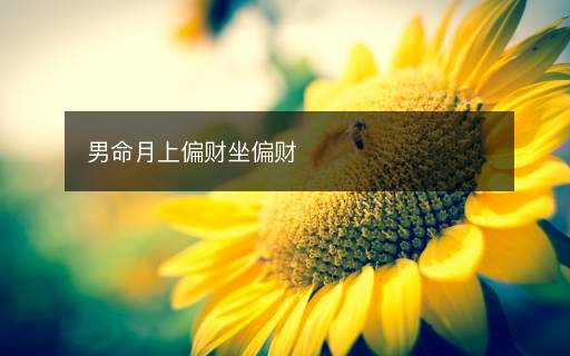 男命月上偏財(cái)坐偏財(cái)