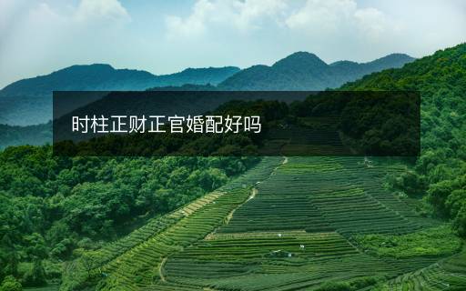 時(shí)柱正財(cái)正官婚配好嗎
