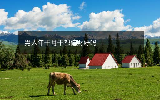 男人年干月干都偏財(cái)好嗎
