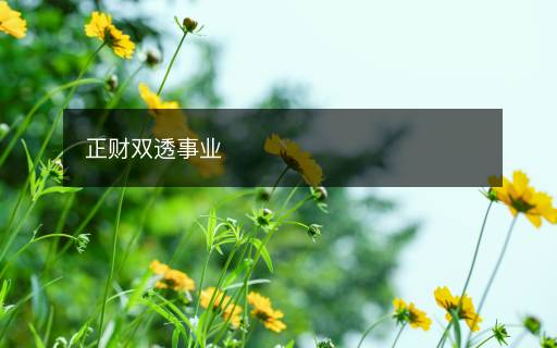 正財雙透事業(yè)