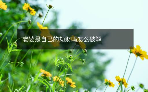 老婆是自己的劫財(cái)嗎怎么破解