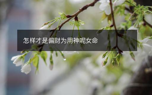 怎樣才是偏財為用神呢女命