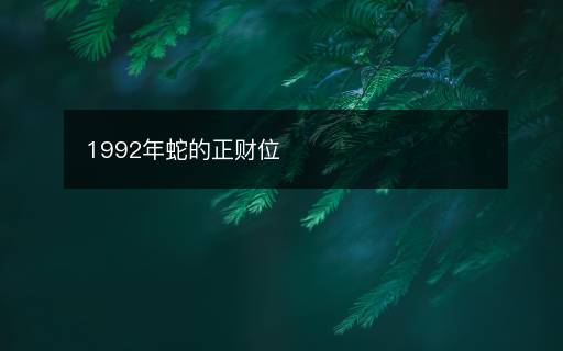 1992年蛇的正財位