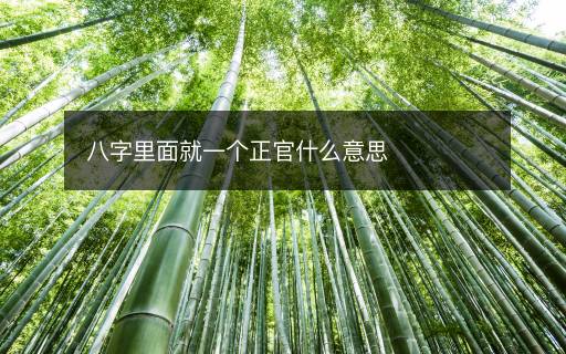 八字里面就一個(gè)正官什么意思