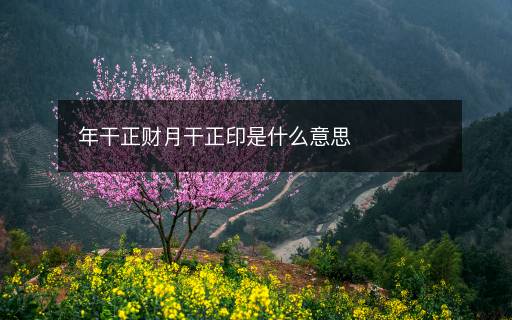 年干正財(cái)月干正印是什么意思