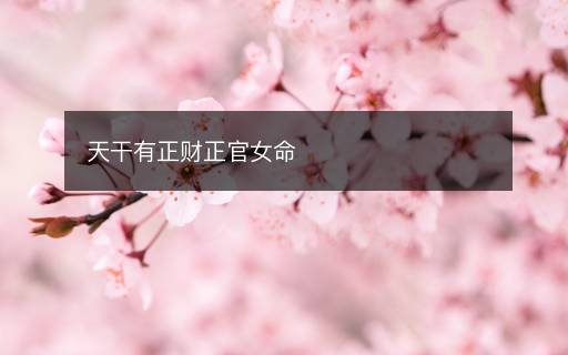 天干有正財(cái)正官女命