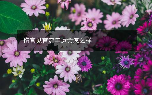 傷官見官流年運(yùn)會怎么樣