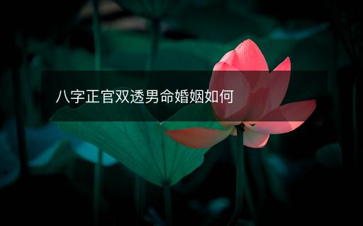 八字正官雙透男命婚姻如何