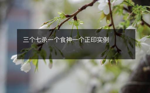 三個(gè)七殺一個(gè)食神一個(gè)正印實(shí)例