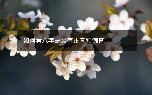 如何看八字是否有正官和偏官