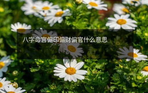八字命宮偏印偏財偏官什么意思