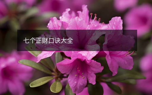 七個正財口訣大全