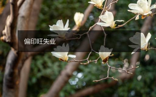 偏印旺失業(yè)