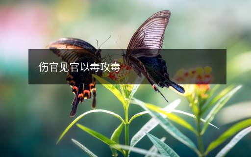 傷官見(jiàn)官以毒攻毒