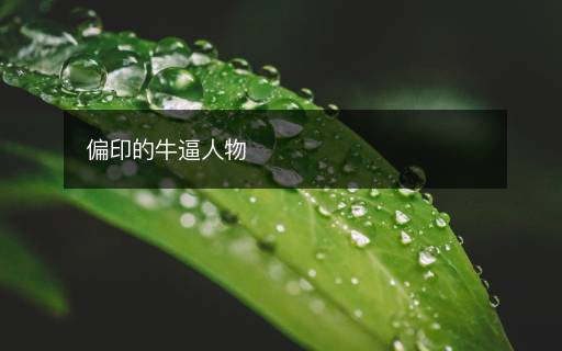 偏印的牛逼人物