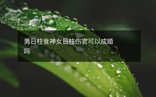 男日柱食神女日柱傷官可以成婚嗎