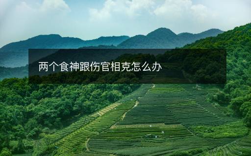 兩個食神跟傷官相克怎么辦