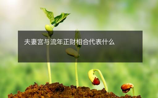 夫妻宮與流年正財(cái)相合代表什么