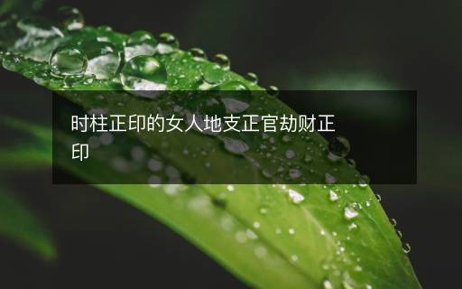 時(shí)柱正印的女人地支正官劫財(cái)正印