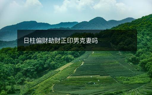 日柱偏財(cái)劫財(cái)正印男克妻嗎