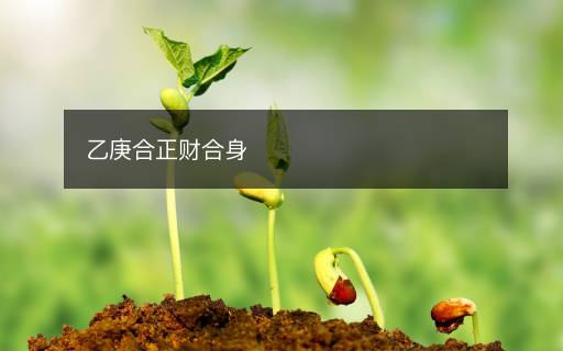 乙庚合正財合身