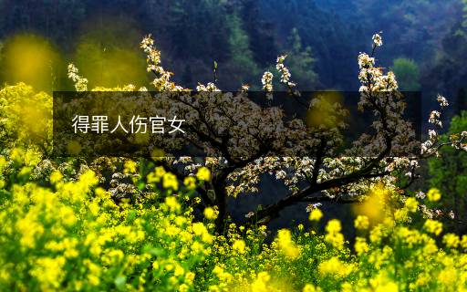 得罪人傷官女