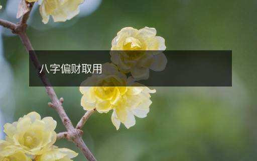 八字偏財取用