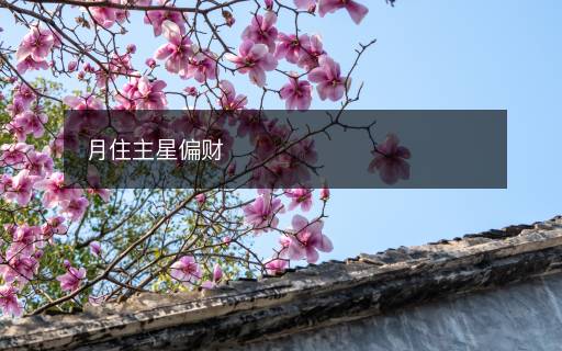 月住主星偏財(cái)